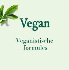 2647 017 PSD LorBe Garnier Bio New images 229x230 Vegan NL2